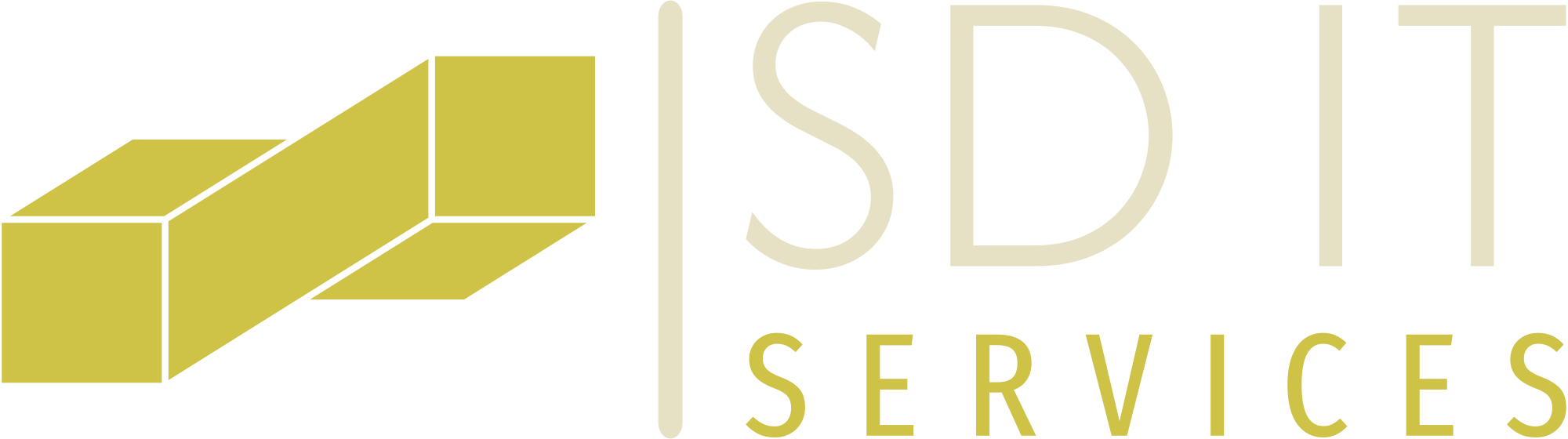 SD IT Services